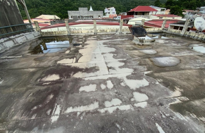 Vente Immeuble 301.04m&sup2; 8 pi&#232;ces Rivière Pilote