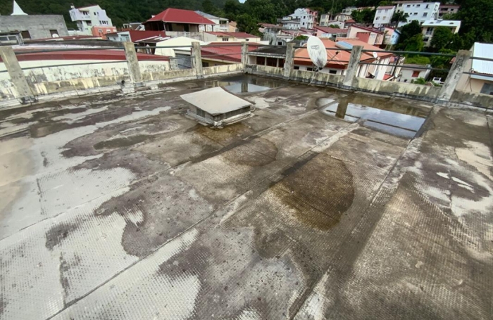 Vente Immeuble 301.04m&sup2; 8 pi&#232;ces Rivière Pilote