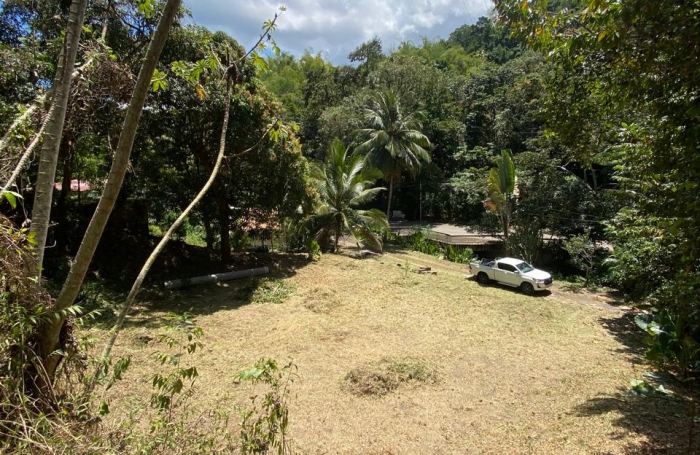 Ensemble deux terrains LES TROIS-ILETS