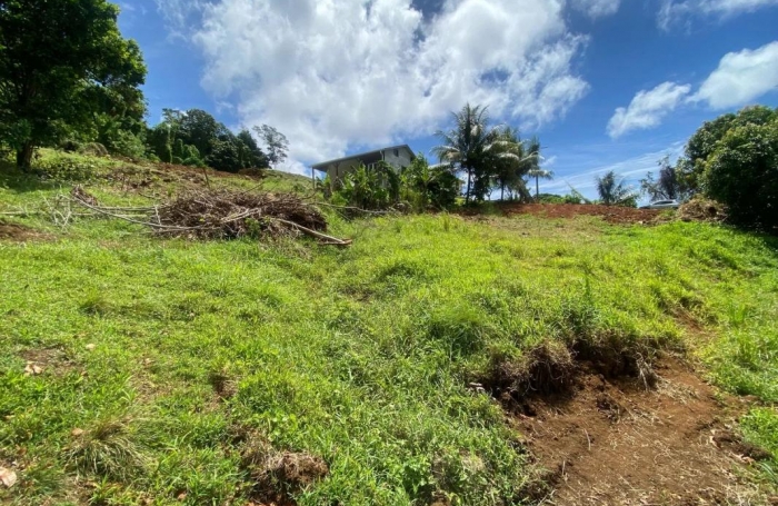 Vente Terrain 815m&sup2; Le Vauclin