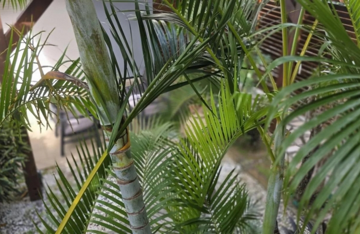 Vente Appartement 2 pièces Le Diamant