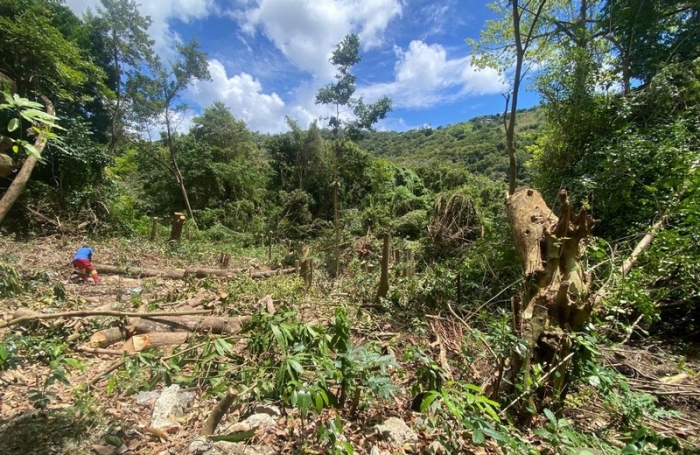 Vente Terrain 1981m&sup2; Sainte Luce