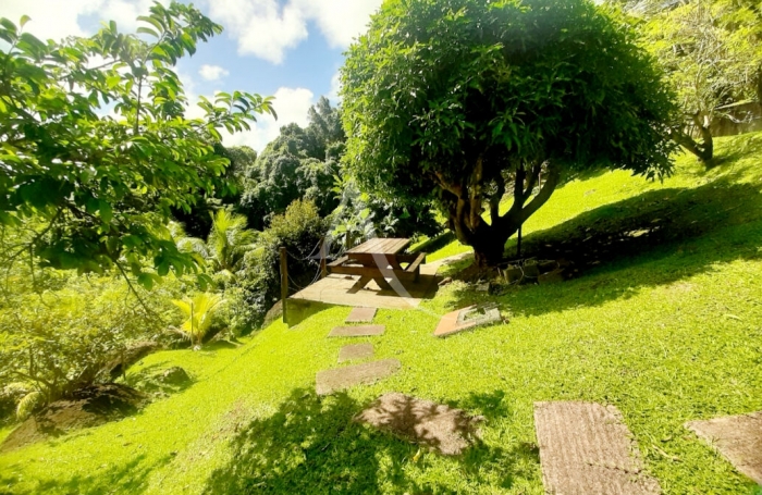 Vente Immeuble 119m² 5 pièces Le François