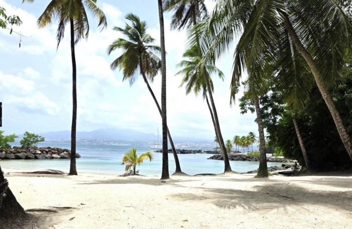 Vente Fonds de commerce 97229