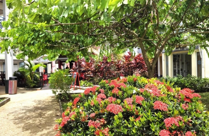 Vente Fonds de commerce 35m&sup2; 1 pi&#232;ce Les Trois Ilets