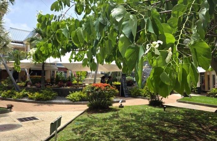 Vente Fonds de commerce 35m&sup2; 1 pi&#232;ce Les Trois Ilets