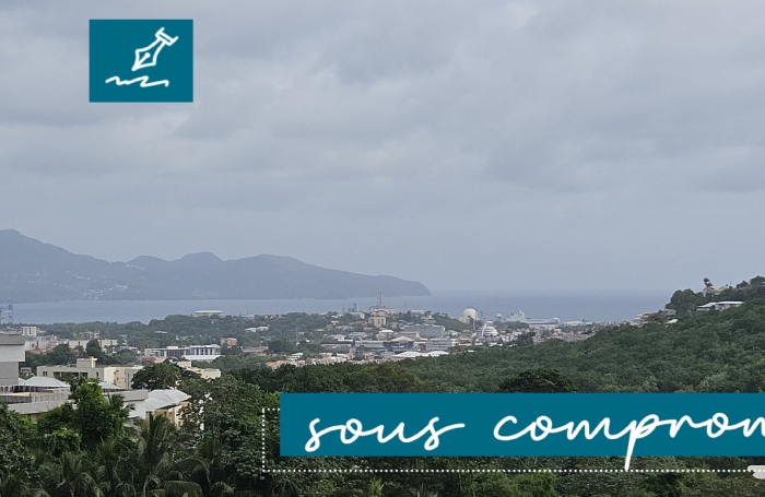 Vente Appartement 97200