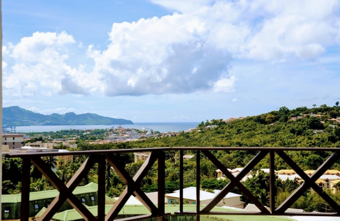 Lumineux F3 meublé avec terrasses, proche CHU