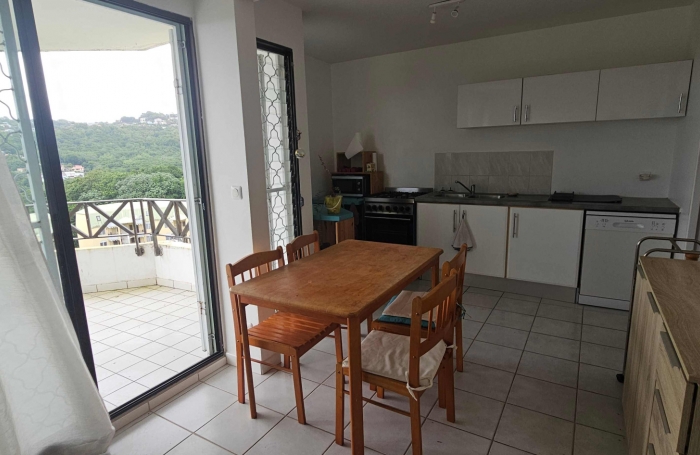 Lumineux F3 meublé avec terrasses, proche CHU