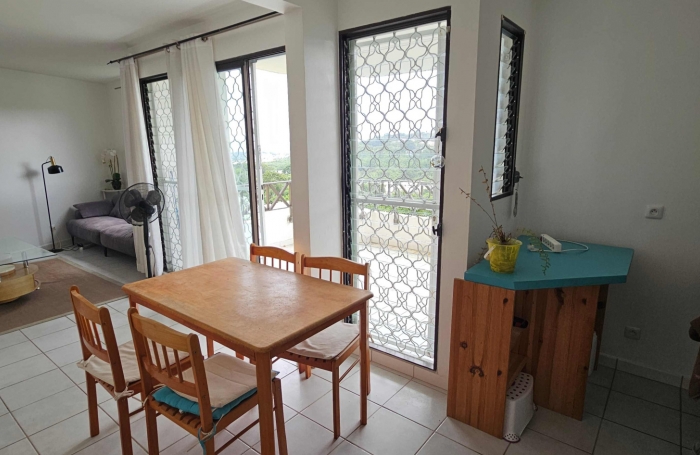 Lumineux F3 meublé avec terrasses, proche CHU