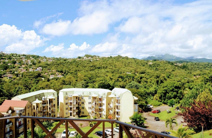 Lumineux F3 meublé avec terrasses, proche CHU