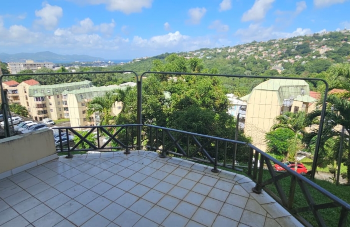 Lumineux F3 meublé avec terrasses, proche CHU