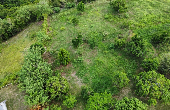 Terrain constructible de 1500 m2 - LE CARBET