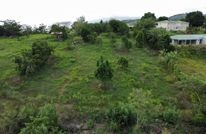 Terrain constructible de 1500 m2 - LE CARBET