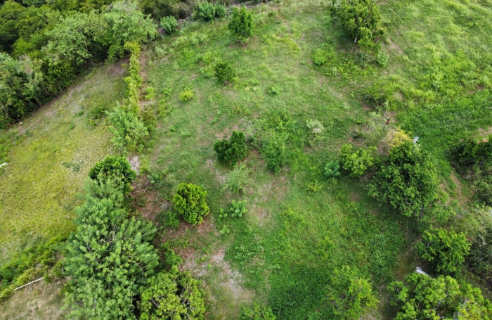 Terrain constructible de 1500 m2 - LE CARBET