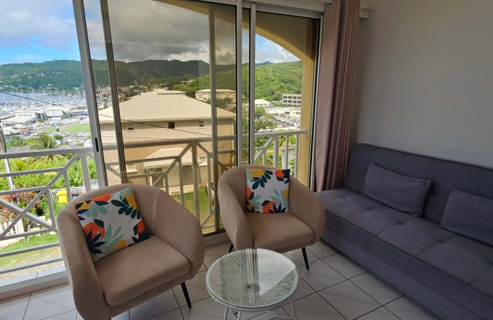 Lumineux F2/3 meublé avec vue sur la Marina