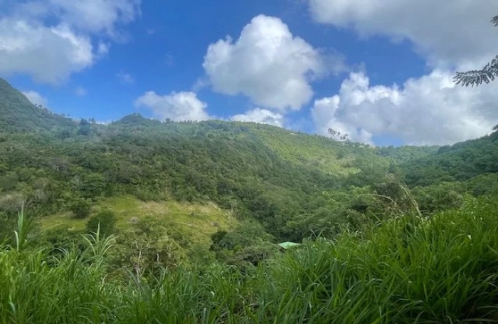 Vente Terrain 922m&sup2; Sainte Luce