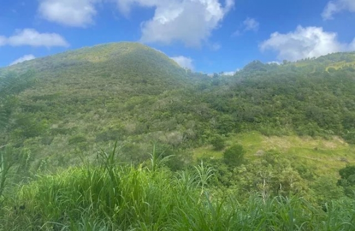 Vente Terrain 922m&sup2; Rivière Salée