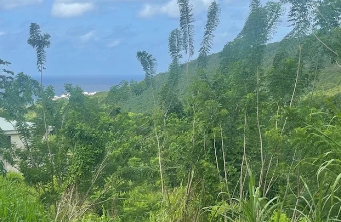 Vente Terrain 922m&sup2; Rivière Salée