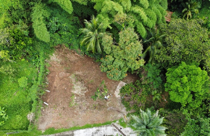 1062 m2 Terrain &agrave; vendre BALATA - FORT-DE-FRANCE