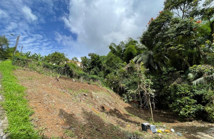 1062 m2 Terrain &agrave; vendre BALATA - FORT-DE-FRANCE