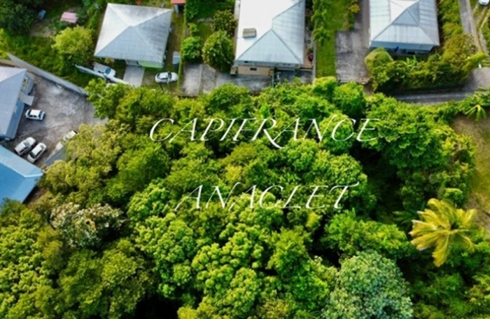 Vente Terrain 800m&sup2; Les Anses d'Arlet