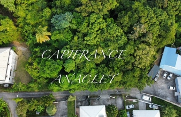 Vente Terrain 800m&sup2; Les Anses d'Arlet