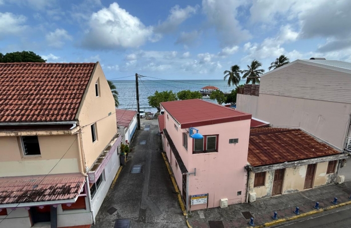 Vente Immeuble 244m&sup2; 5 pi&#232;ces Sainte Luce