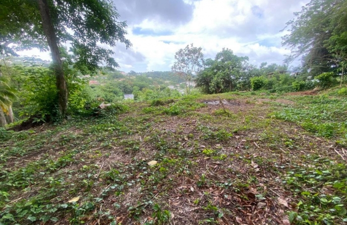 Vente Terrain 2479m&sup2; La Trinité