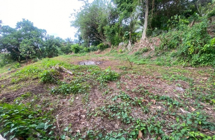 Vente Terrain 2479m&sup2; La Trinité