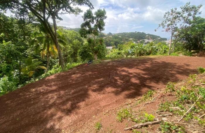 Vente Terrain 2479m&sup2; La Trinité