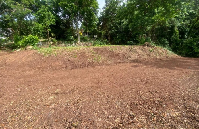 Vente Terrain 2479m&sup2; La Trinité