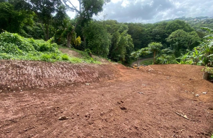 Vente Terrain 2479m&sup2; La Trinité