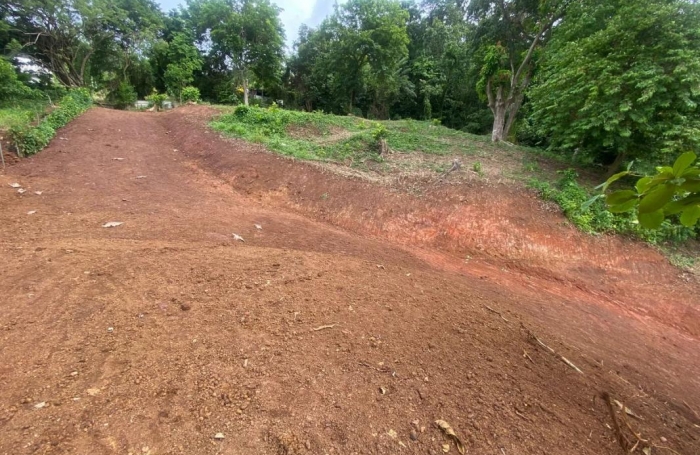 Vente Terrain 2479m&sup2; La Trinité