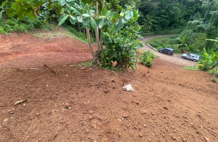 Vente Terrain 2479m&sup2; La Trinité