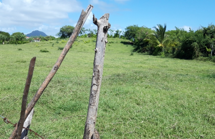  Sur la plage...parcelle de 468 m2 à la Pointe FAULA