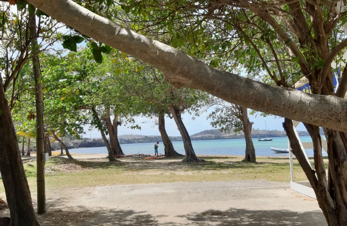  Sur la plage...parcelle de 468 m2 à la Pointe FAULA