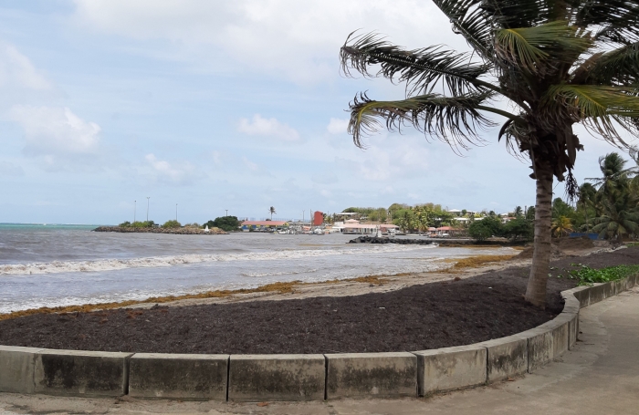  Sur la plage...parcelle de 468 m2 à la Pointe FAULA
