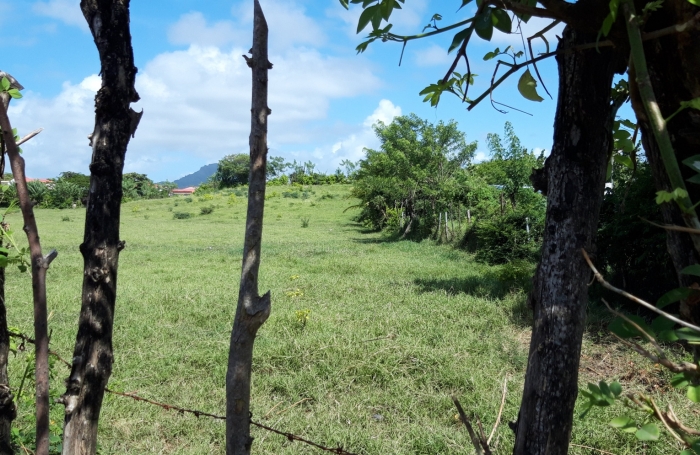  Sur la plage...parcelle de 468 m2 à la Pointe FAULA