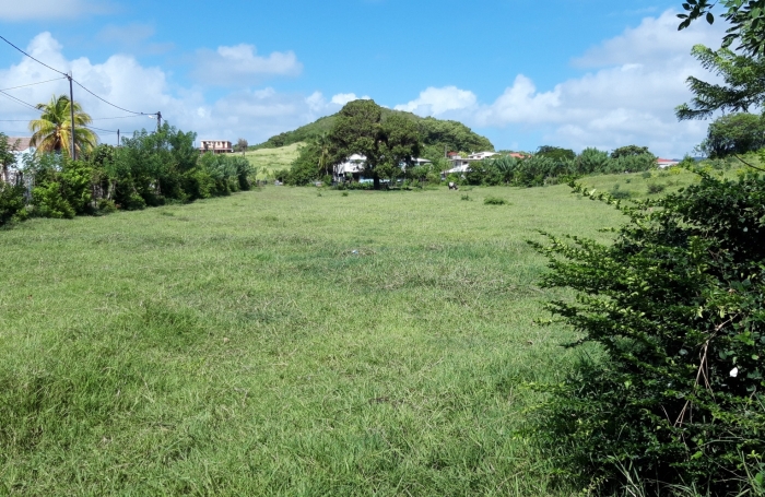  Sur la plage...parcelle de 414m2 à la Pointe FAULA