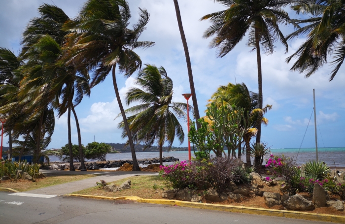  Sur la plage...parcelle de 414m2 à la Pointe FAULA