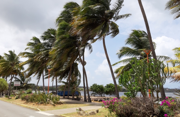  Sur la plage...parcelle de 585 m2 à la Pointe FAULA