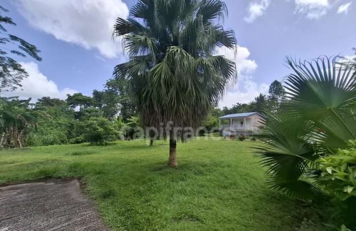 Vente Immeuble 334m&sup2; 17 pi&#232;ces Les Trois Ilets