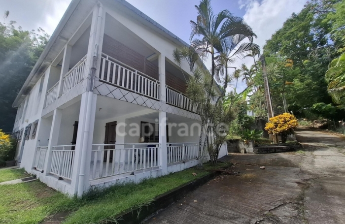 Vente Immeuble 334m&sup2; 17 pi&#232;ces Les Trois Ilets