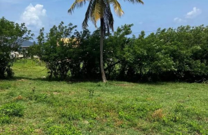 Vente Terrain 921m&sup2; Le Marin