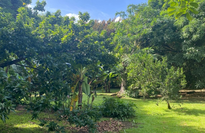 Vente Maison 68m&sup2; 3 pi&#232;ces Rivière Pilote