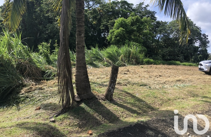 Vente Terrain 1992m&sup2; Le Lamentin