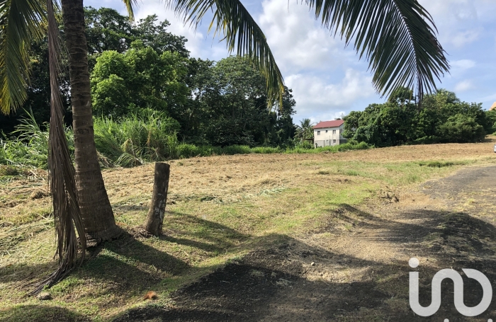 Vente Terrain 1992m&sup2; Le Lamentin