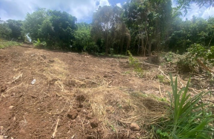 Vente Terrain 1628m&sup2; Le Marin