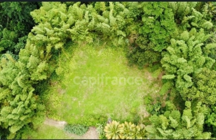 Vente Terrain 97216